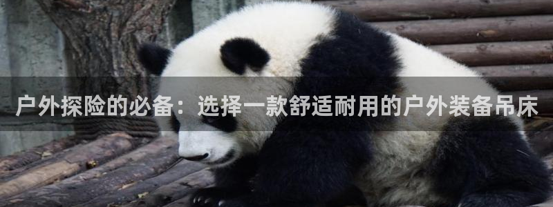 利记官网地址