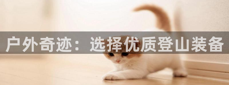 利记科技有限公司官网