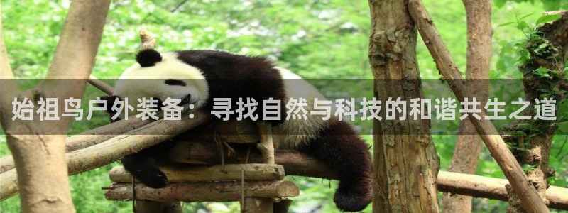 利记 官网