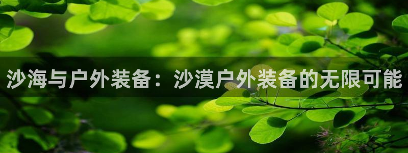利记sbobe官网