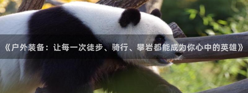 利记官网在线投注
