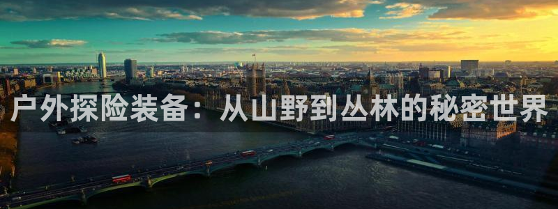 林利记官网