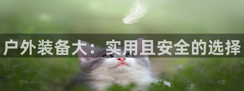 利记手机官网银河网