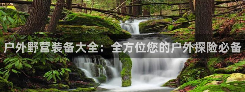 利记 利记官网