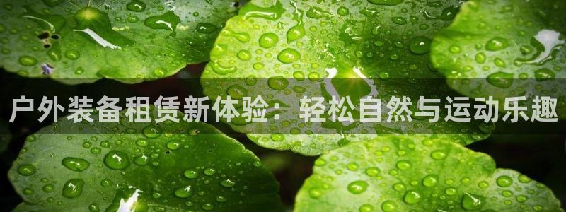 利记网址注册官网