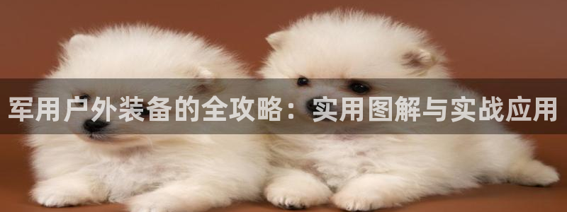 利记手机官网银河网