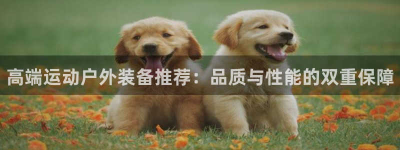 利记彩票导航网址官网hd71