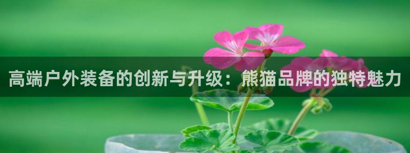 SBOBET利记官网