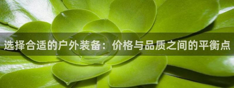 利记手机官网电子mg官方网站