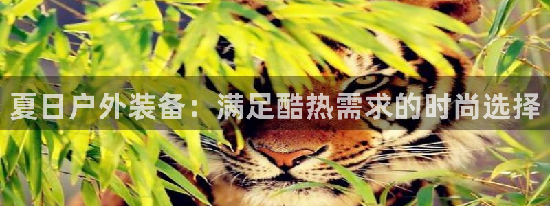 利记sbobe官网