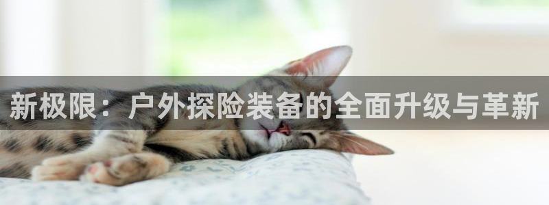 香港利记集团官网地址