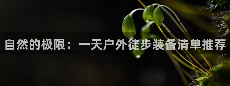 利记体育官网