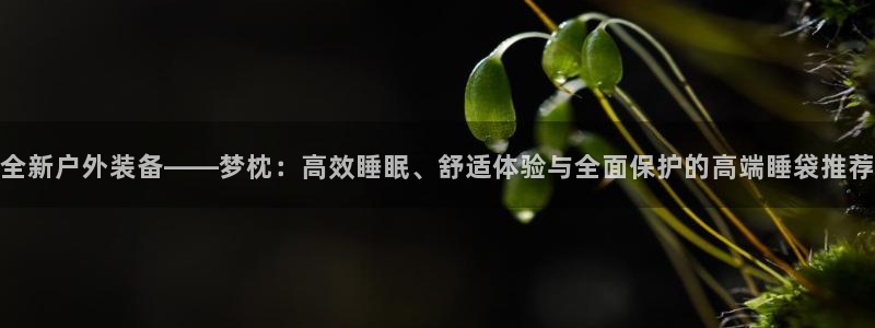 利记官网登录