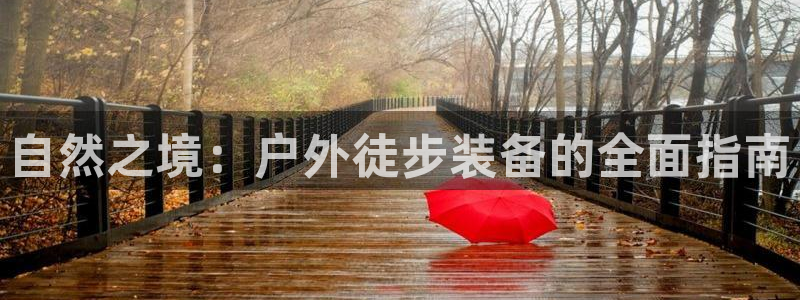 利记体育官网首页