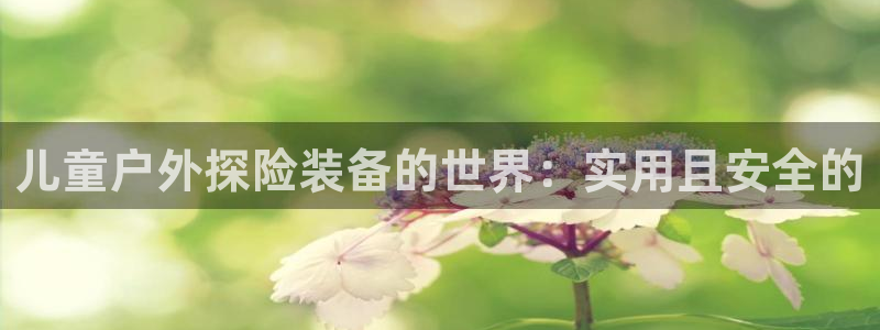 利记网官网网址