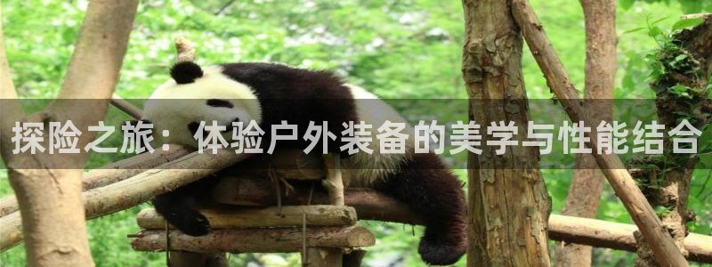 香港利记集团官网地址