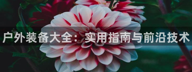 澳门大利来记官网