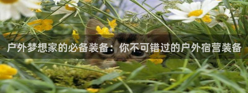 利记88官网app