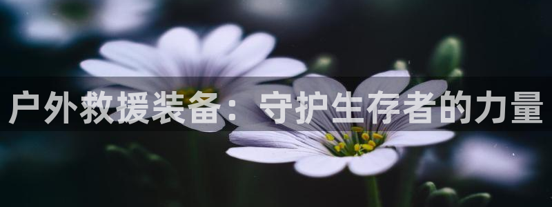 利记体育投注官网