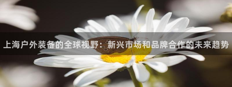 利记彩票官网网址官网hd71