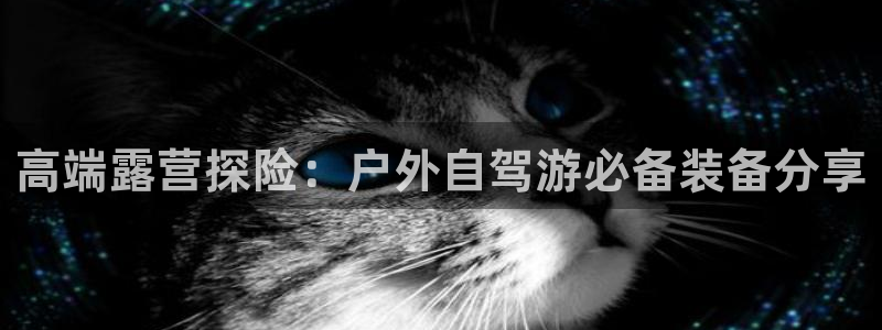 利记正式官网