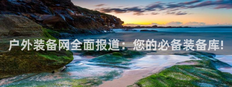 利记官网a