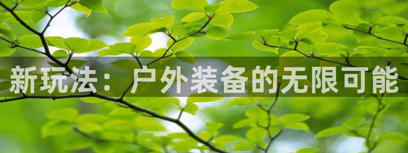 利记官网葡京投注网址