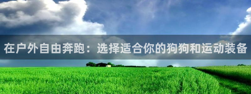 利记官网是多少