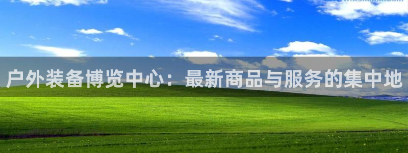 利记sbobet官网电脑版