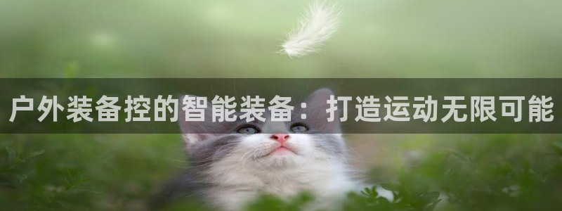 利记网官网网址