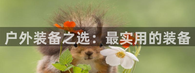 利记足球官网