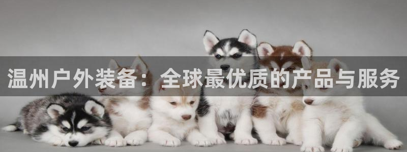 利记手机官网电子mg官方网站