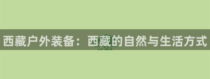 利记bet官网登录入口