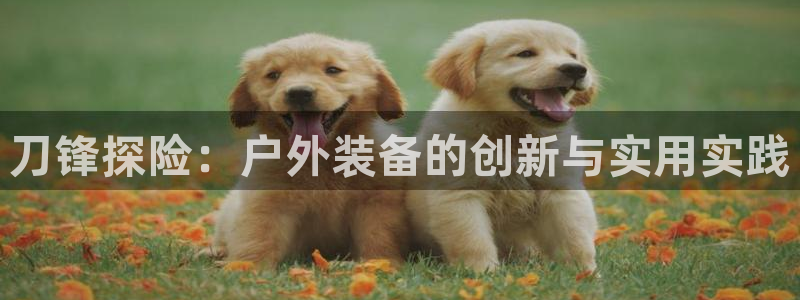 利记官网
