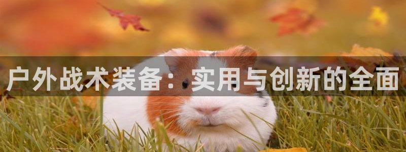 利记网官网网址