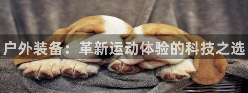 利记坊官网登录