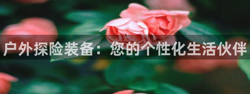 利记官网加盟