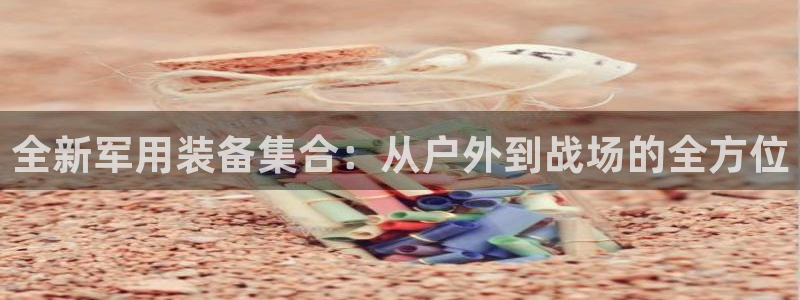 利记二手车行官网