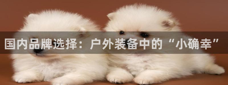 利记手机官网bb电子平台官方