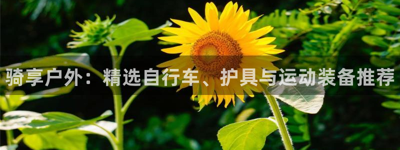 利记官网行业领导者