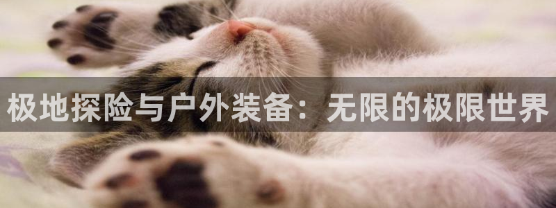 利记彩票官网网址官网hd71