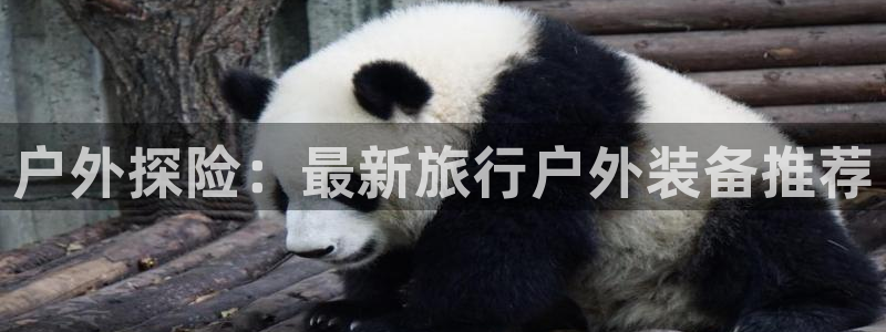 利记厨具官网客服电话