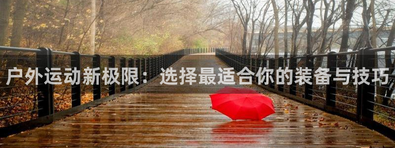 利记官网是什么