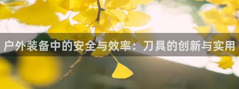 sbo利记体育官网