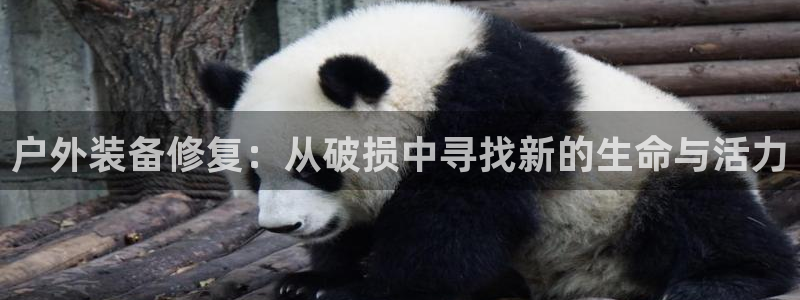 利记官网注册网