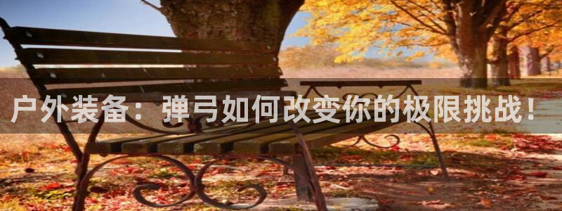 利记sbobet官网电脑版