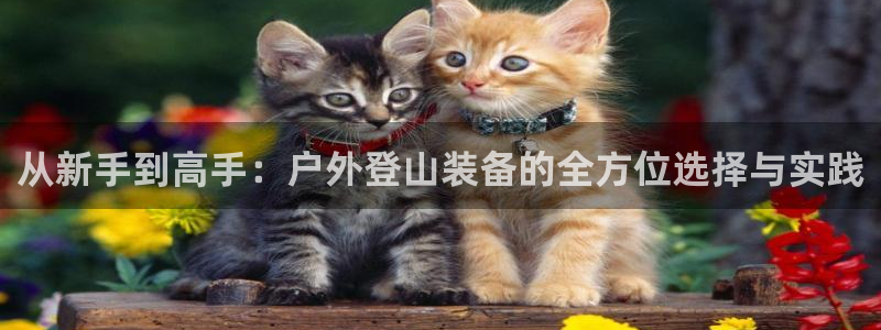 香港利记集团官网招聘