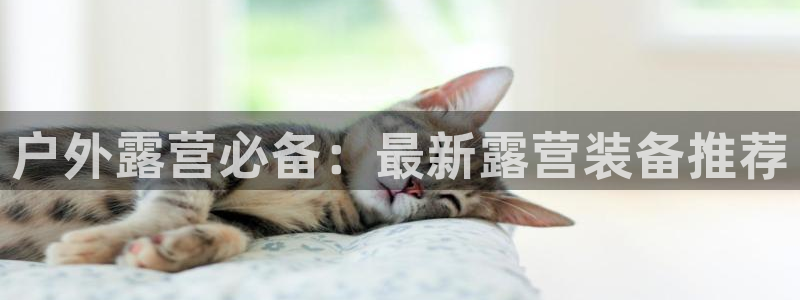 香港利记lee kee集团官网