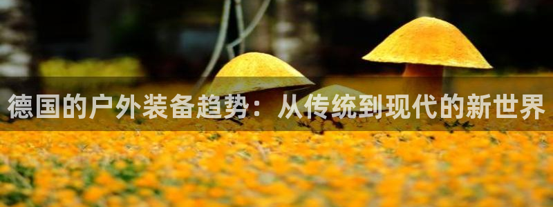 利记坊官网注册账号