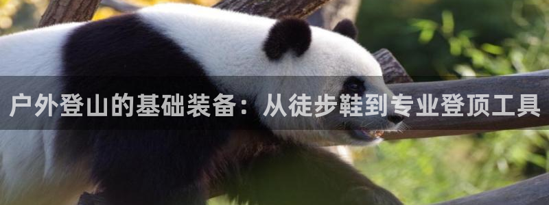 利记体育手机版官网